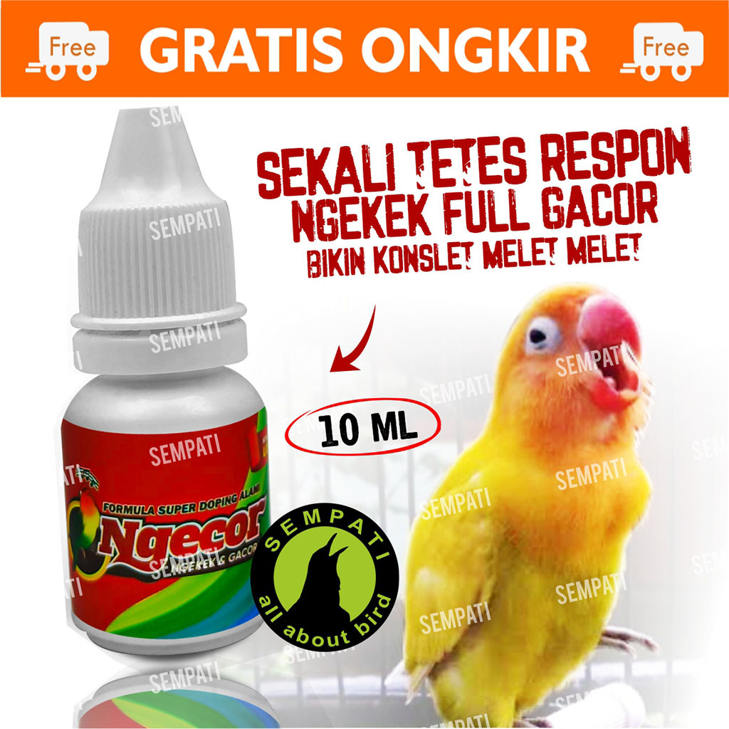 SEMPATI NGECOR POWER GACOR BIOJANNA DOPING BURUNG LOVEBIRD|DOPING BURUNG LOMBA|NGEKEK|NGECOR DOPING 