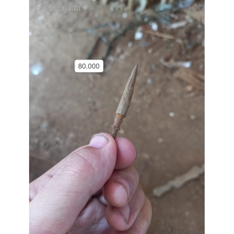 

pusaka kantil sepuh majapahit dari besi meteorit milik raden wijaya bk Keris sengkelat majapahit mataram kartosuro kartasura Surakarta Yogyakarta nagasasra sabuk inten keris kriss nogososro Balinese antik