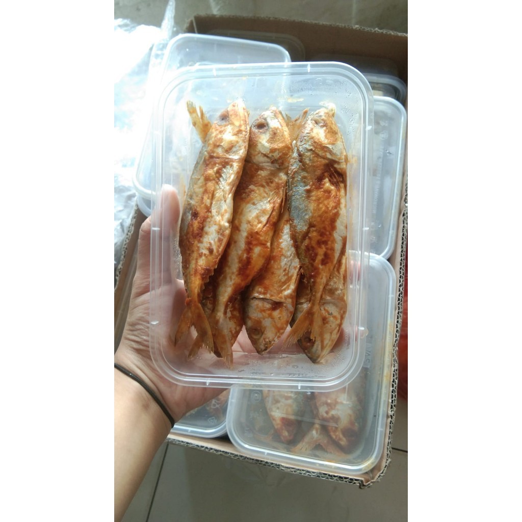 

Ikan peda