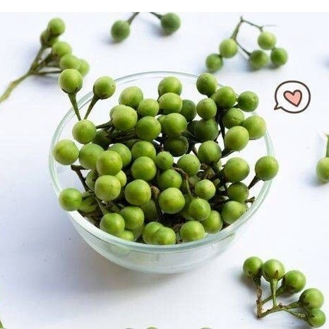 

Jual Buah takokak segar 1kg cepokak telor pipit baru petik