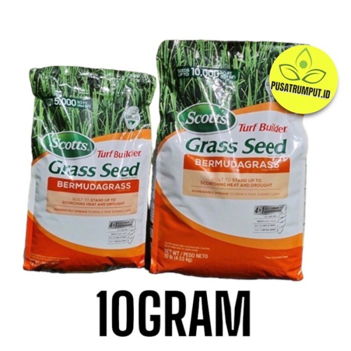 Benih rumput Jepang bibit rumput Jepang bibit eceran JEPANG 10GRAM Benih rumput siap tanam