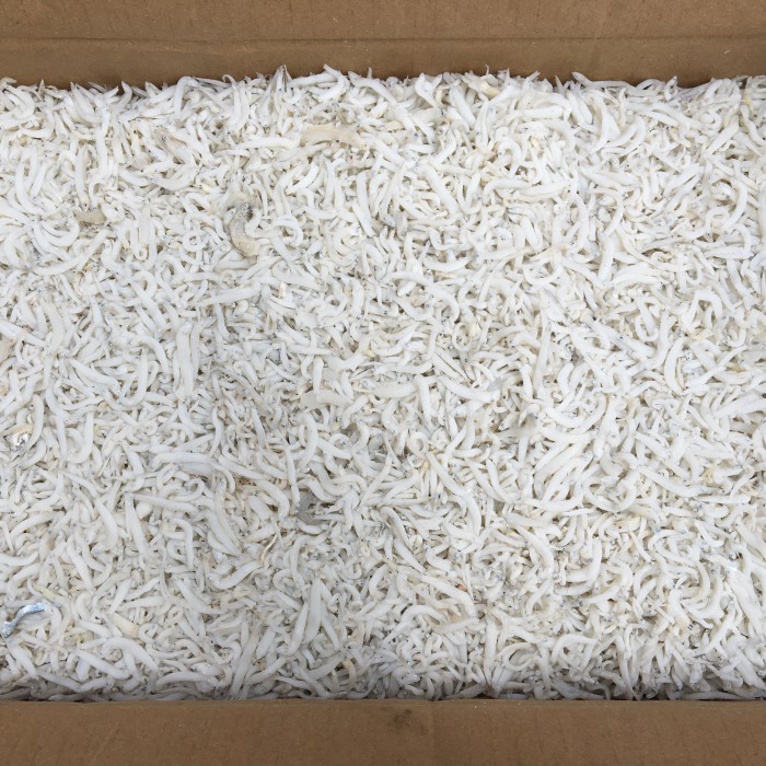 

Ikan teri medan / teri medan super - 100 gram