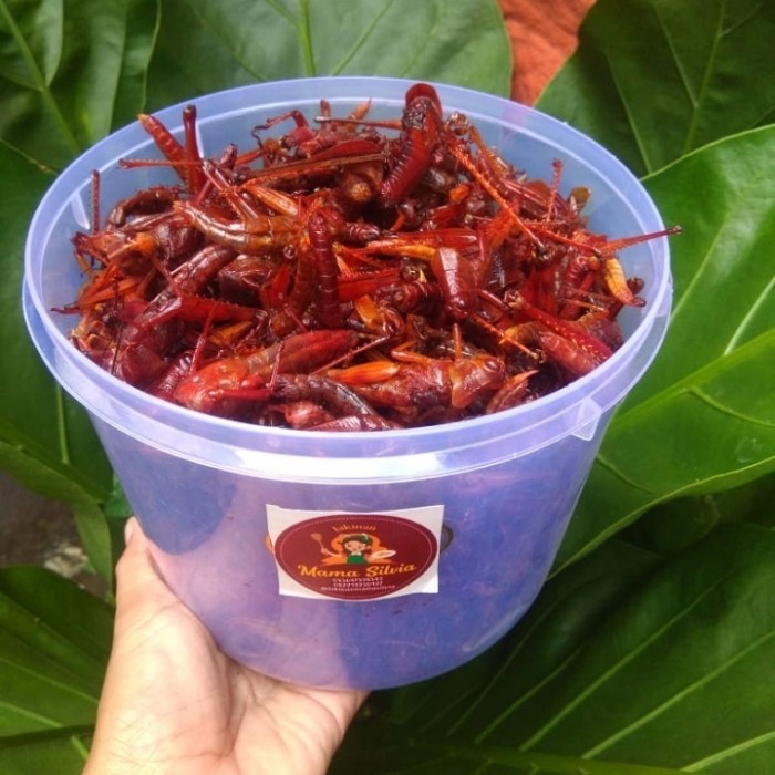 

Promo!!! Belalang Goreng 1 Toples Besar