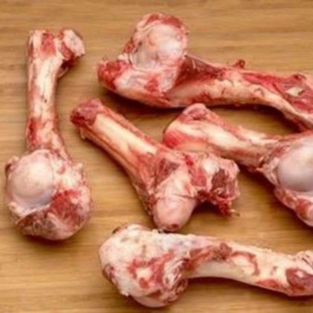 

New Tulang Sengkel Sapi LokalPremium