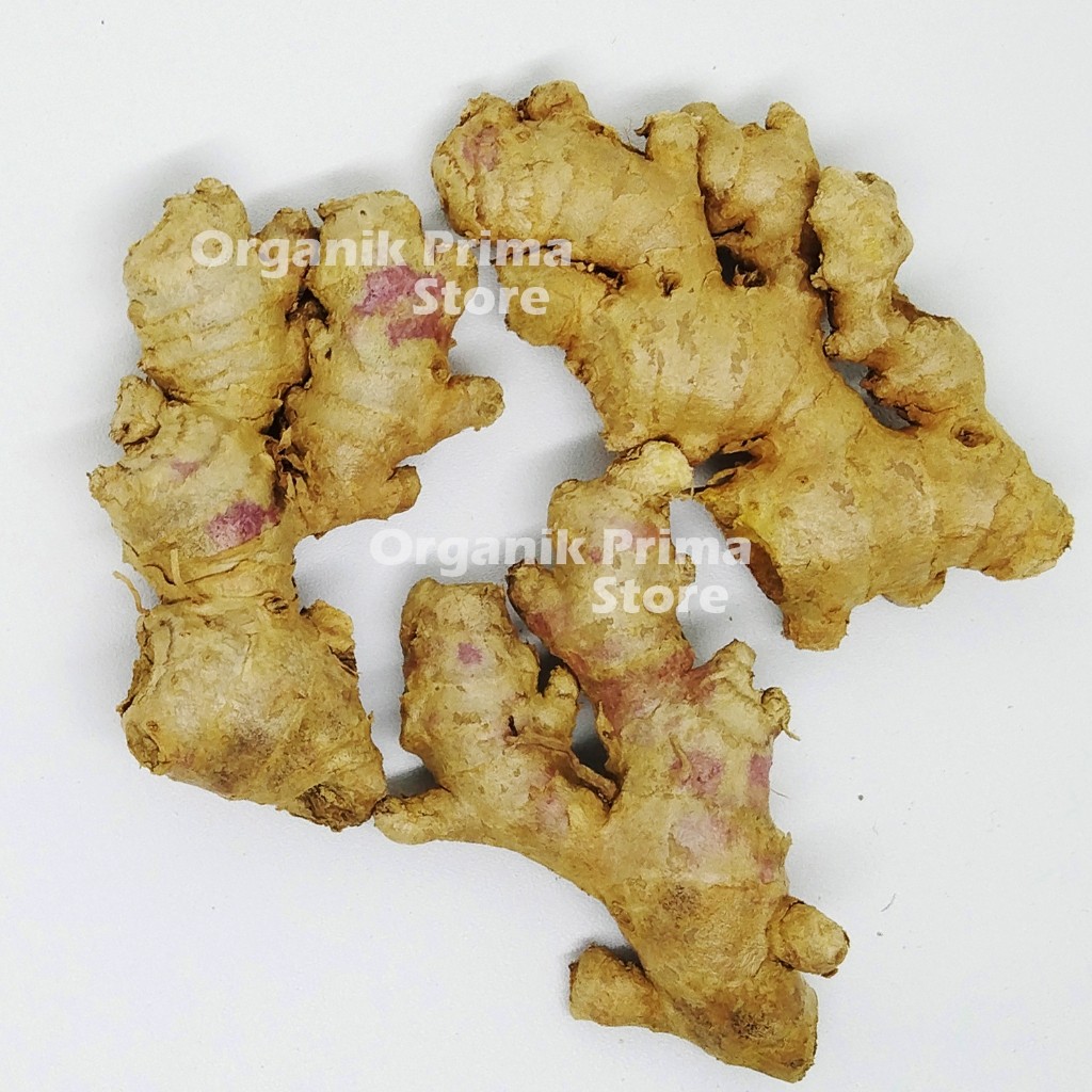 

Jahe Emprit 1kg Segar Pegas dan Organik