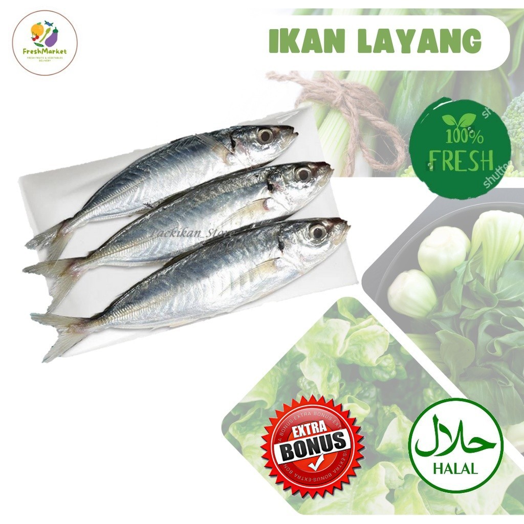 

Ikan Layang Jumbo / Kecil Segar Seafood 1 Kg Sayurinstant