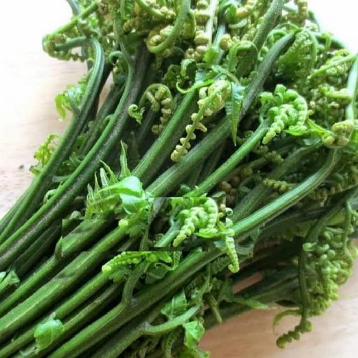 

Sayur Pakis Segar/ikat