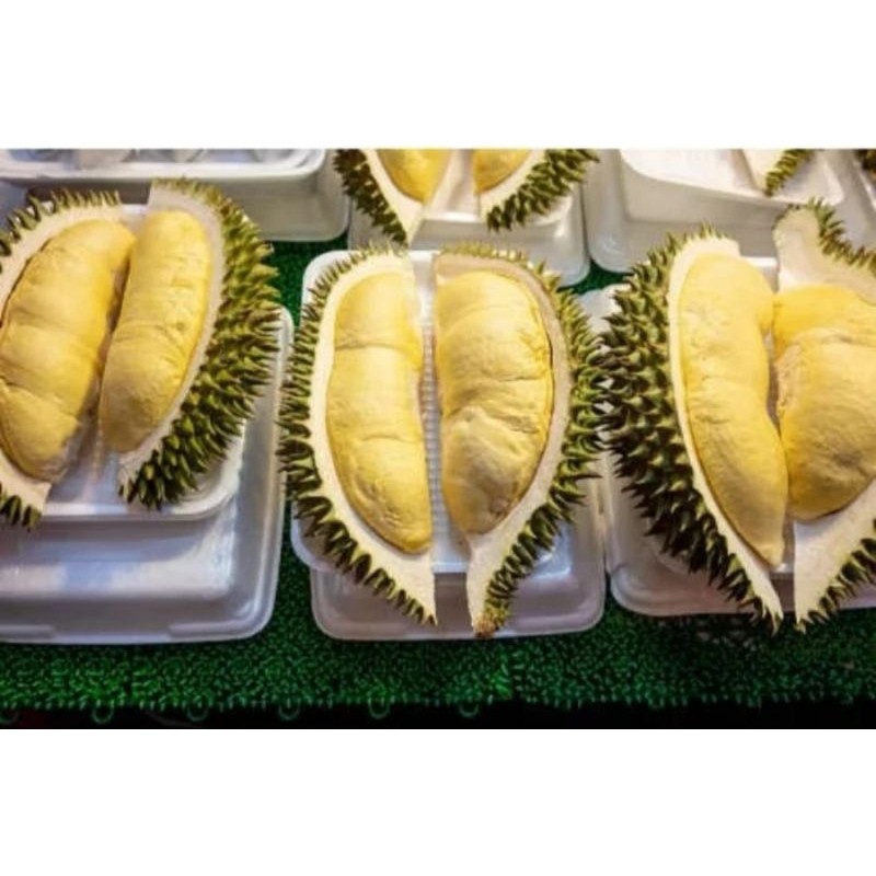 

Terlariss!!! Durian Montong 500gram