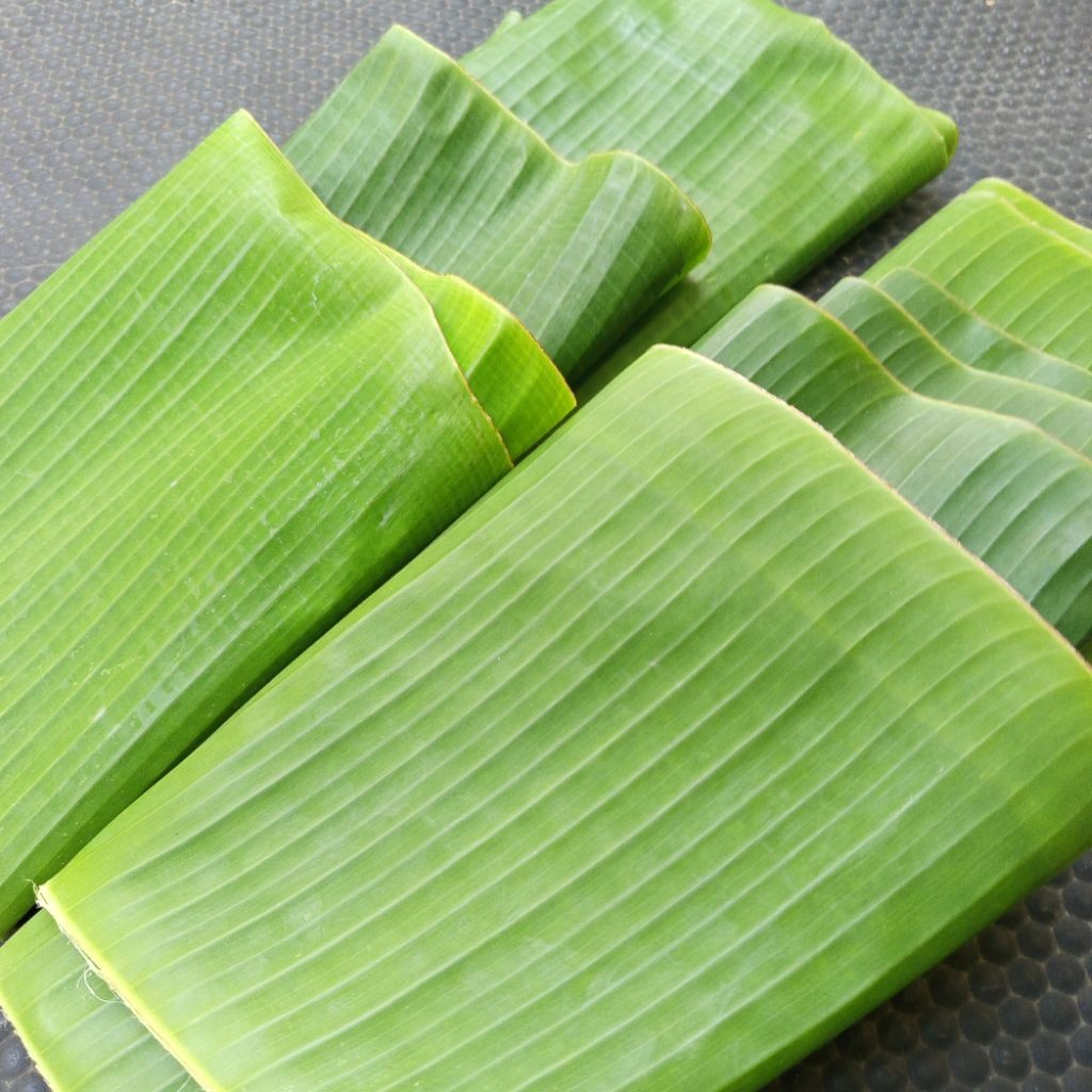 

Daun Pisang Utree Utri Daun harga Satu pelepah daun pisang pembungkus makanan daun pepes ikan daun lontong daun serbaguna