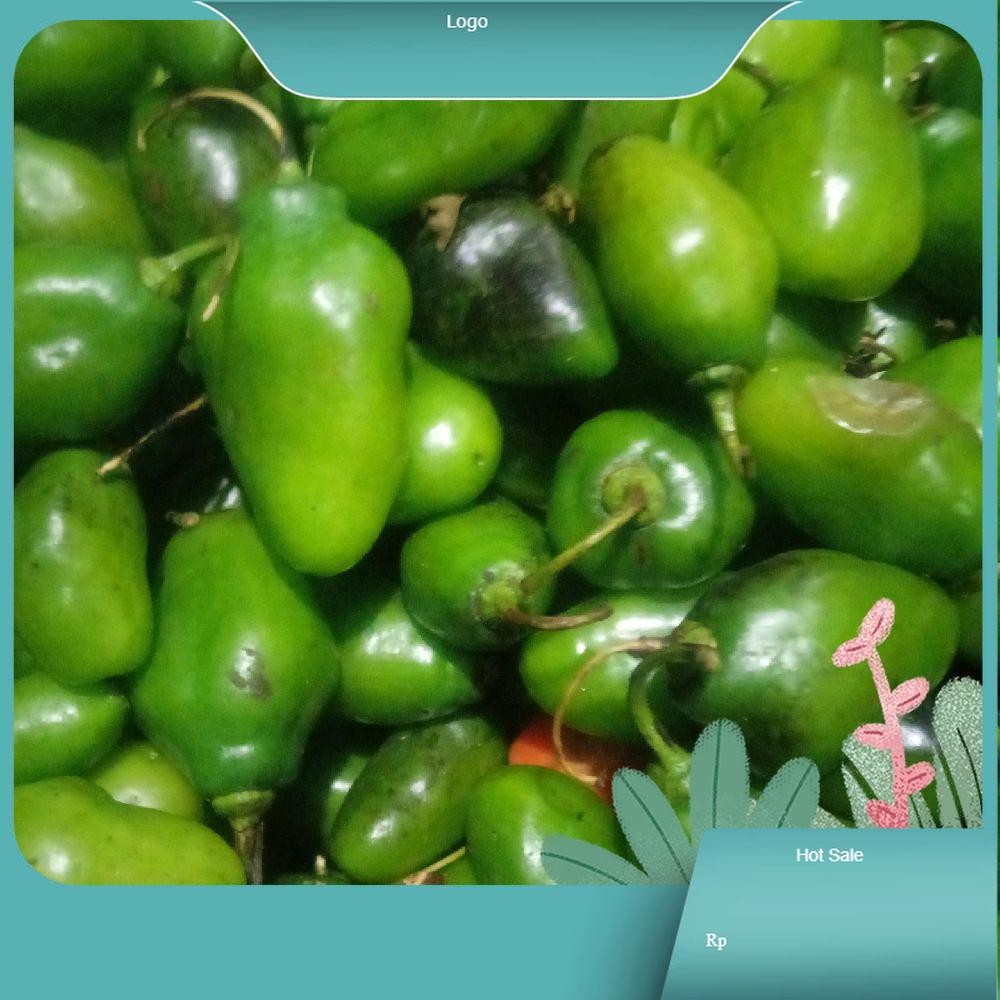 

cabai gendot isi 500gram cabai gembor pedas segar berkualitas Cabe besengek