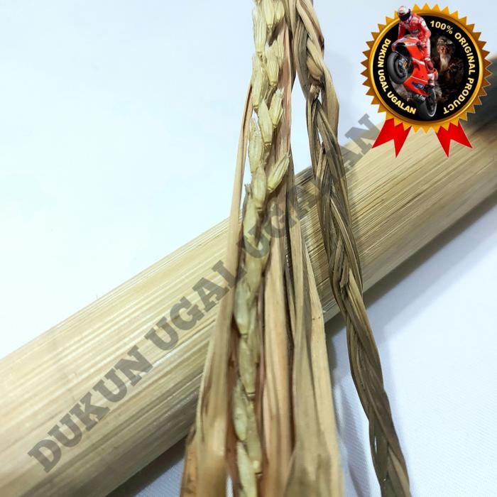 

Promo Bunga Sereh Kembang Serai Tunggal Asli Alami Barang Antik Original