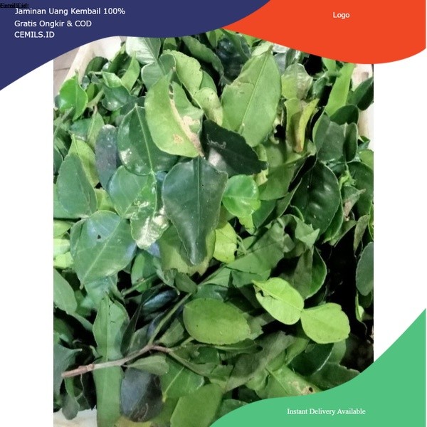 

Daun Jeruk Purut Bumbu Masak Murah Sejumput