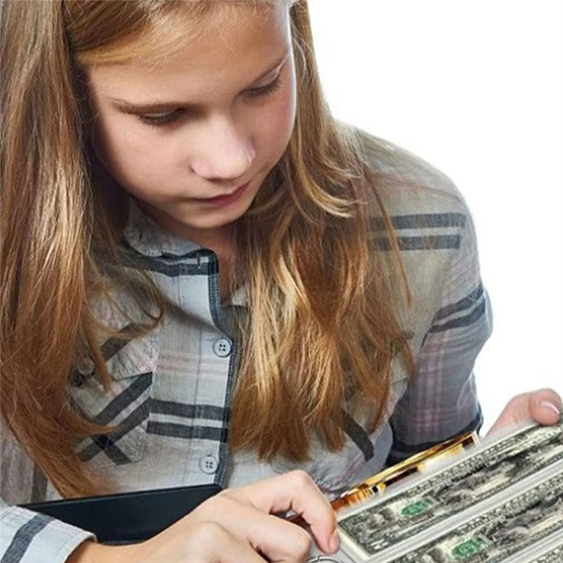 

MAKE-Portable Coin Collection Set 200 Panels Pvc Transparent Loose-Leaf Philatelic Book Album With Zipper Protection