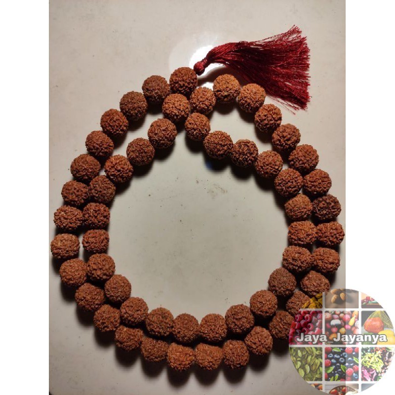 JENITRI TASBIH RUDRAKSHA 54 BUTIR BESAR JUMBO TASBEH Jaya_Jayanya