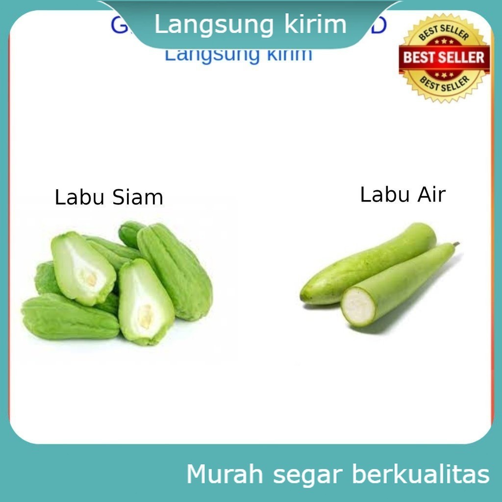 

Labu Parang , Labu Siam , Labu Air Per 500 Gram Sayur Sayuran Segar Fresh Tiap Hari