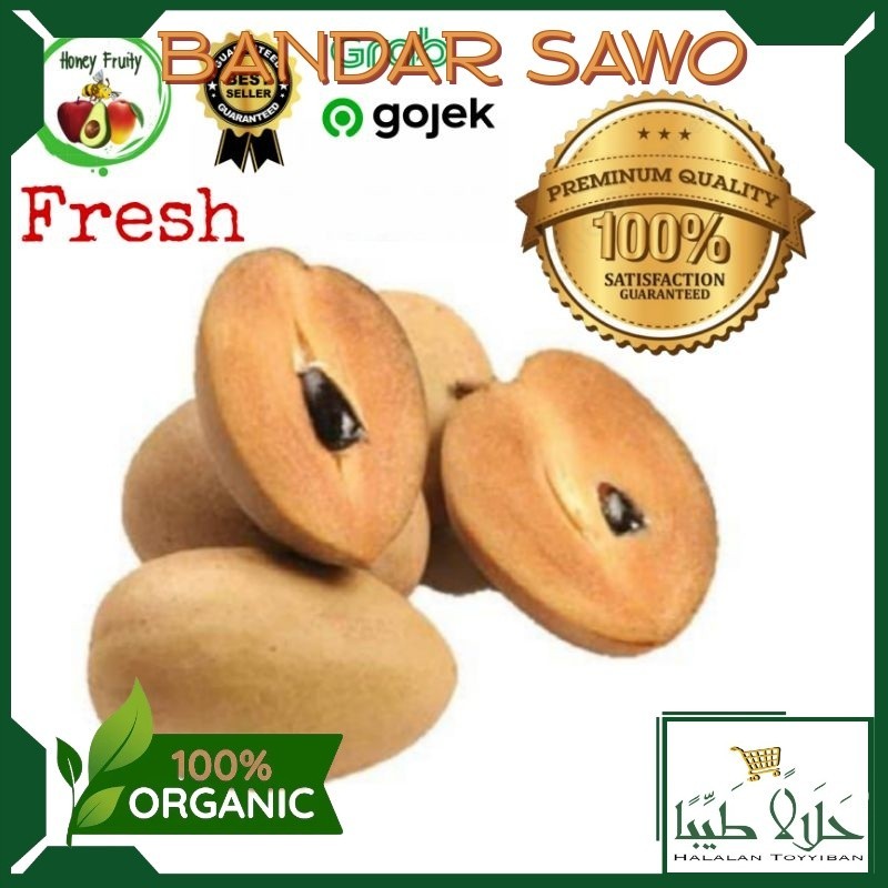 

BANDAR Sawo /1 Kg