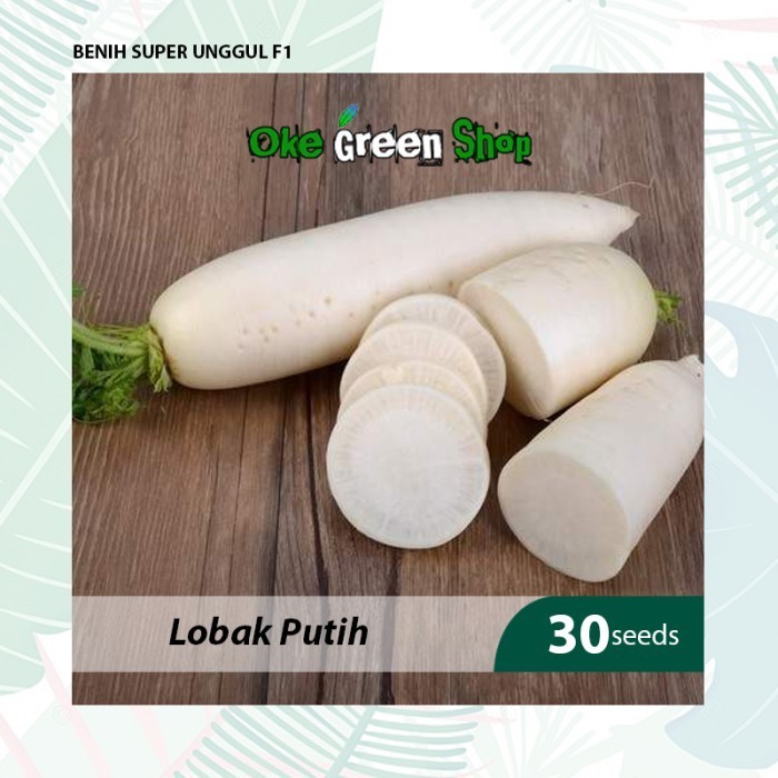 KLIP - 30 Biji Benih Bibit Lobak Putih Radish Kualitas F1