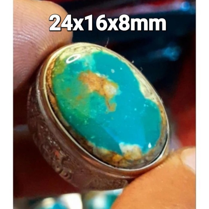 Pirus Persia Neyshabur hijau tosca size jumbo