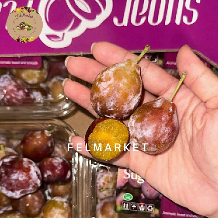 

Plum Sugar Fresh Import / Buah Plum Sugar Manis / 350 Grm / Pack