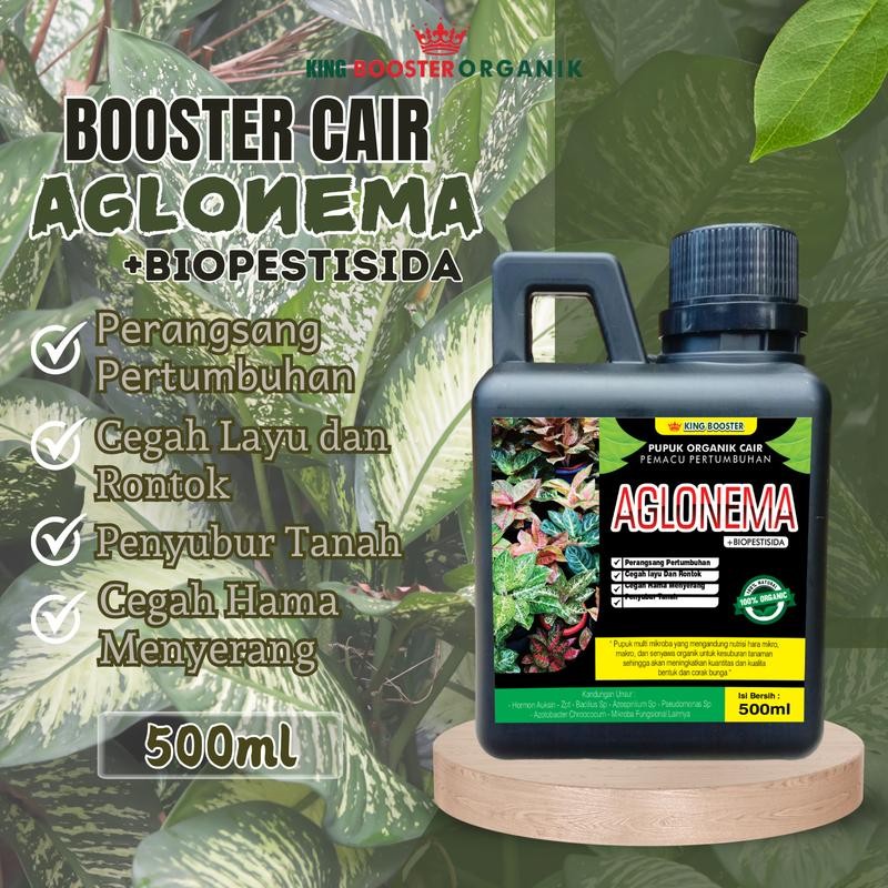 Pupuk Aglonema 500ml | Pupuk Organik Cair Aglonema | Nutrisi Tanaman