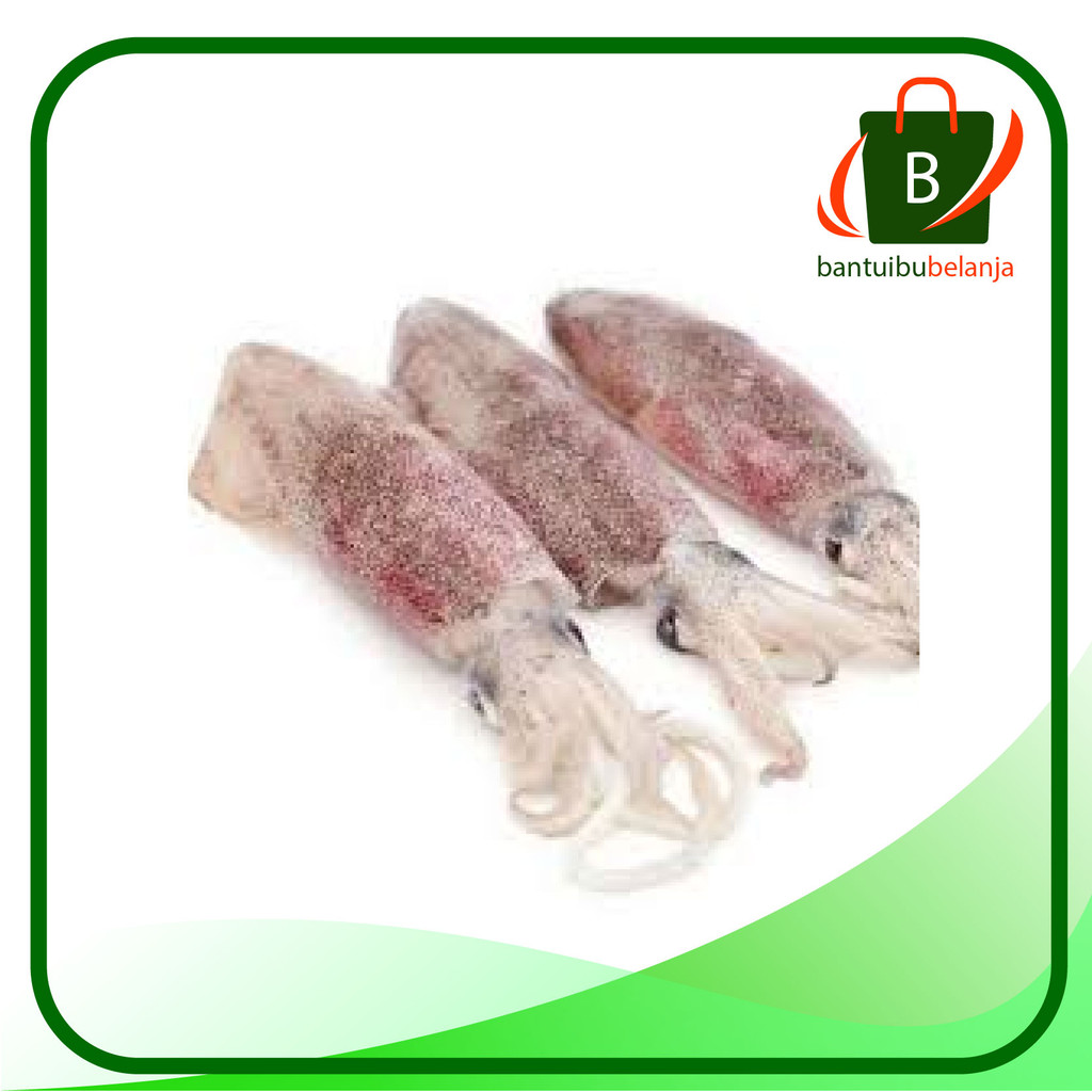 

CUMI-CUMI SEDANG SEGAR Per 250 gram