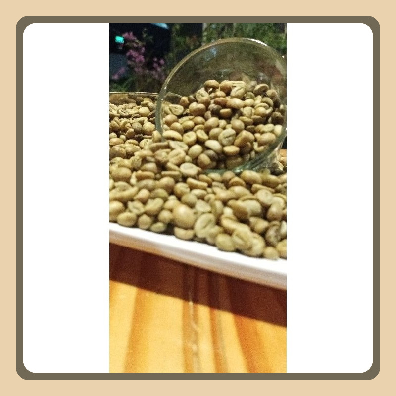 

Green Bean Robusta Gunung Arjuna 1KG
