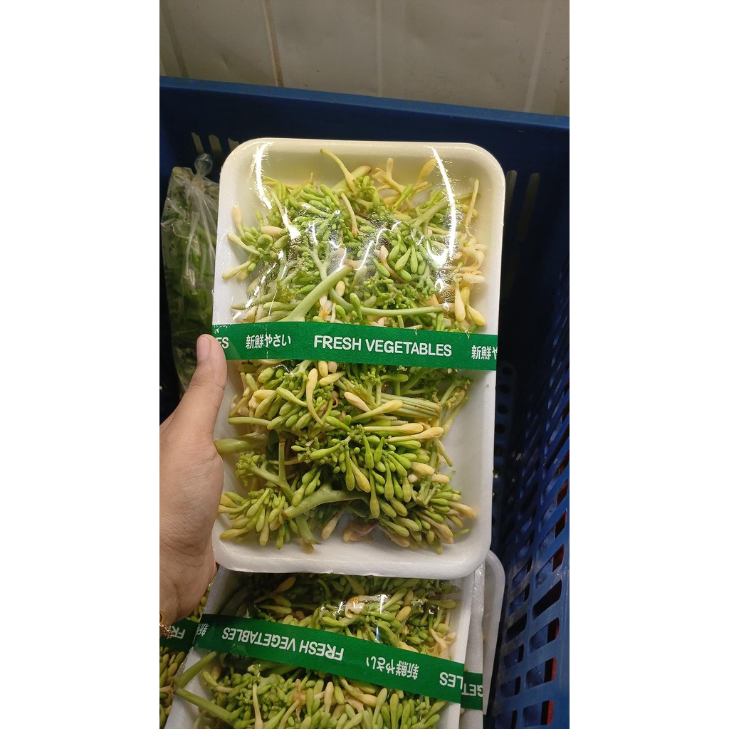 

SAYUR BUNGA PEPAYA MUDA 150 GR SEGAR HARIAN PASAR