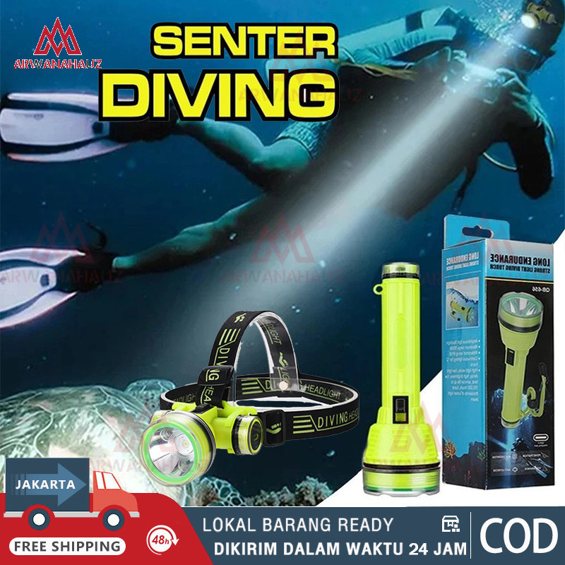 Senter Kepala Selam Diving Headlight USB Charging LONGDA SQ 901 / Senter Diving Rolinson / senter se