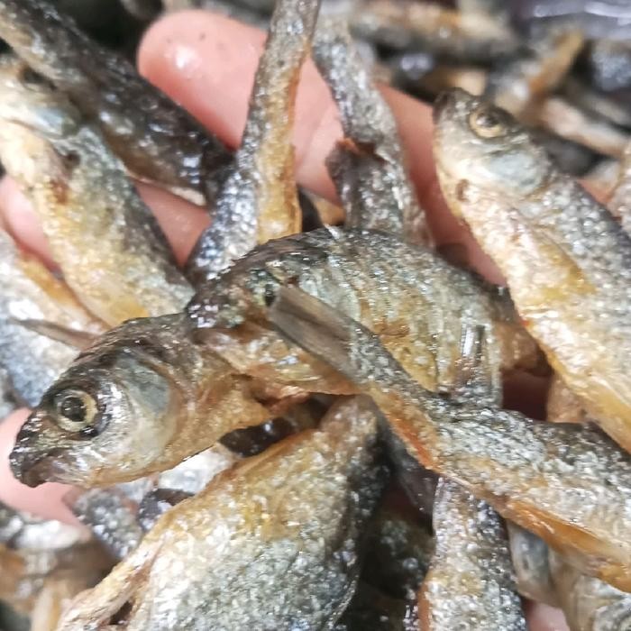 

ikan bilih padang ikan bilih danau Singkarak - 250 grm