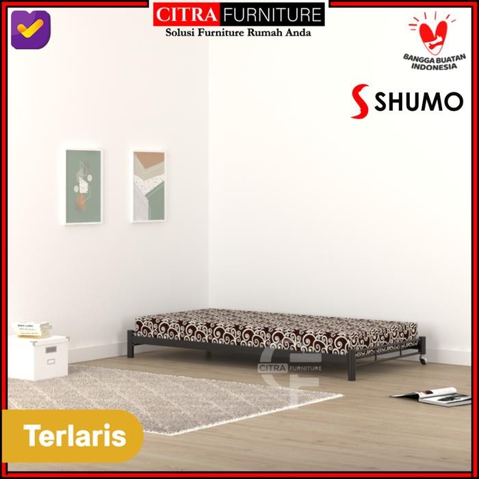 Ranjang Besi sorong minimalis 90 x190| Dipan Rangka Tempat Tidur Besi - SORONG PUTIH, Hanya Ranjang