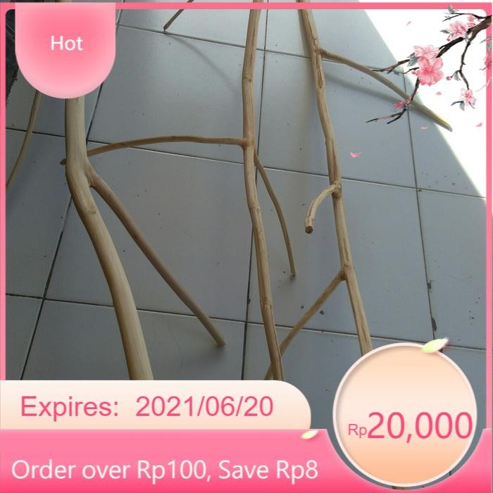 ranting kayu jati cabang 100 cm - ranting kayu macrame LR3