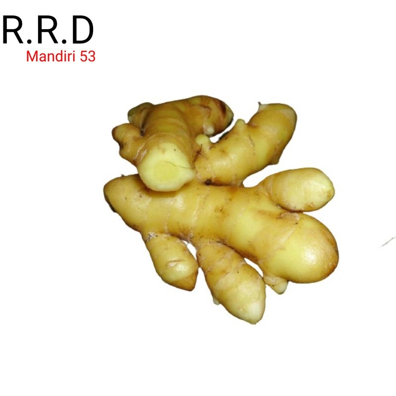 

Promo Temu mangga/kunyit mangga 1kg basah segar organik