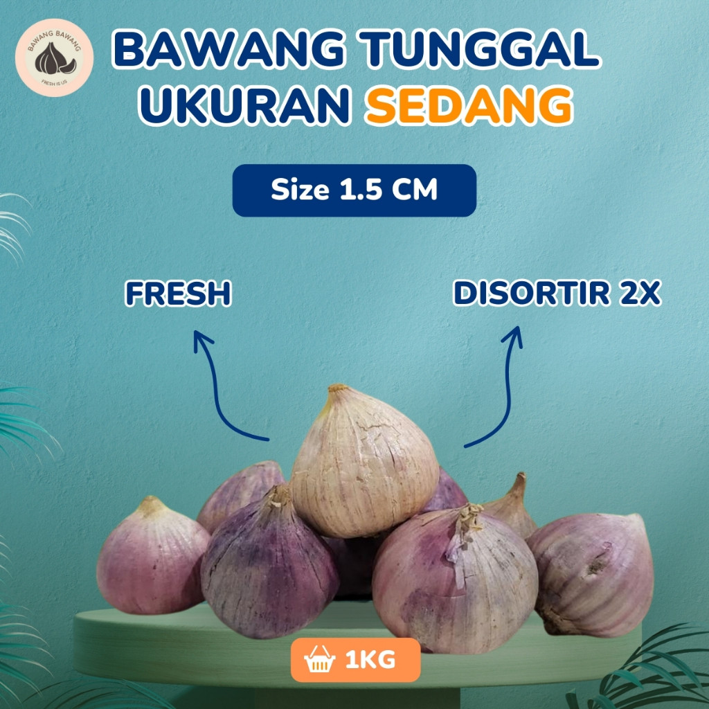 

Terlaris Bawang Putih Tunggal Lanang SEDANG 1 KG Ukuran 1.5 Cm