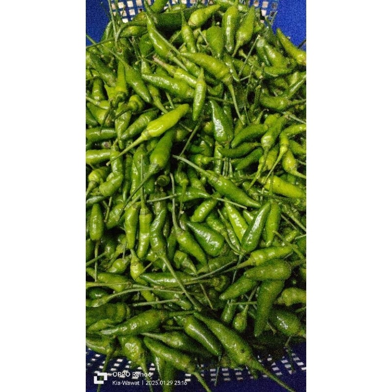 

Paket COD CABE RAWIT Fres 1 KG hasil Tani.