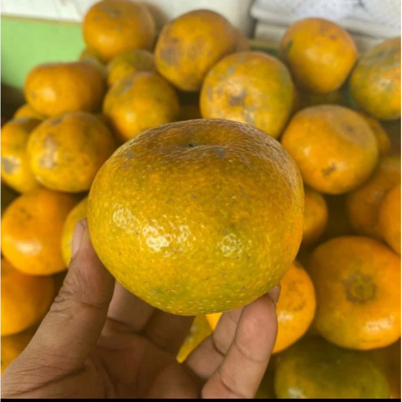 

buah jeruk Medan manis grosir 6kg,10kg,18kg dan 20 kg