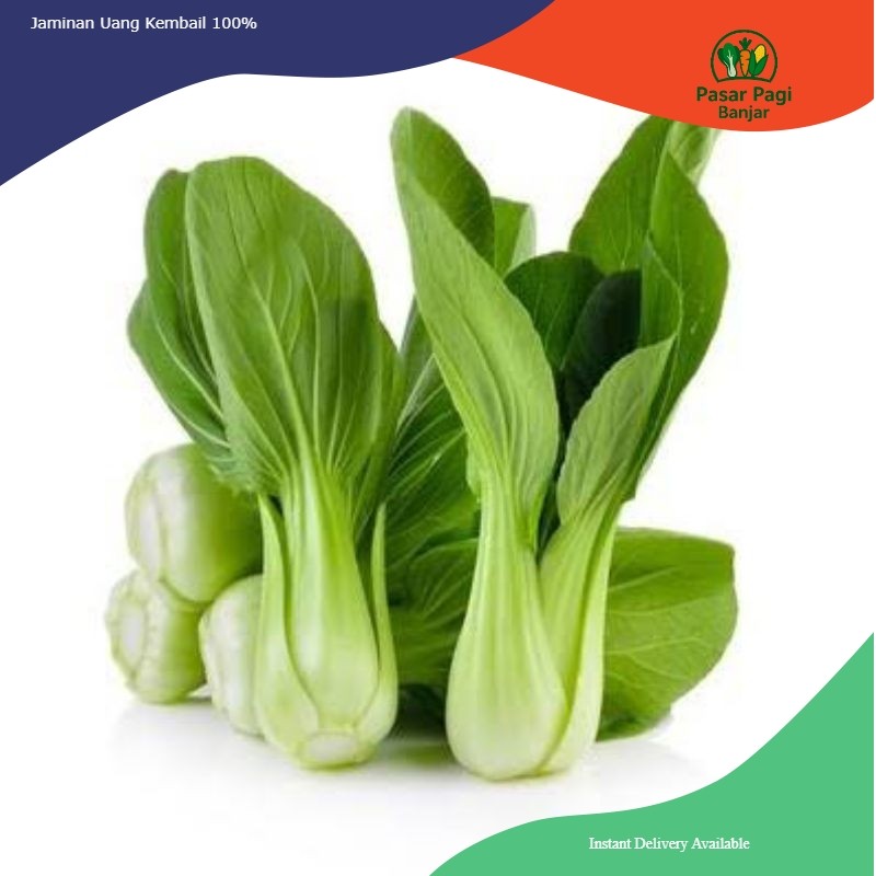 

Pakcoy / Sawi Daging Segar / Sawi Sendok / Bok Choy