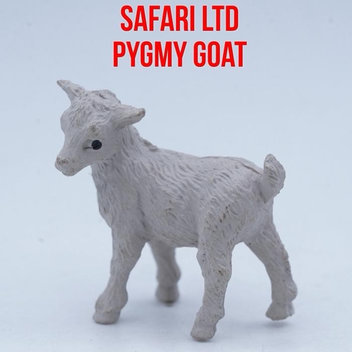 Safari Ltd Pygmy Goat Kambing Kerdil Mini Small Size Ukuran Kecil Mainan Binatang Miniature Hewan An