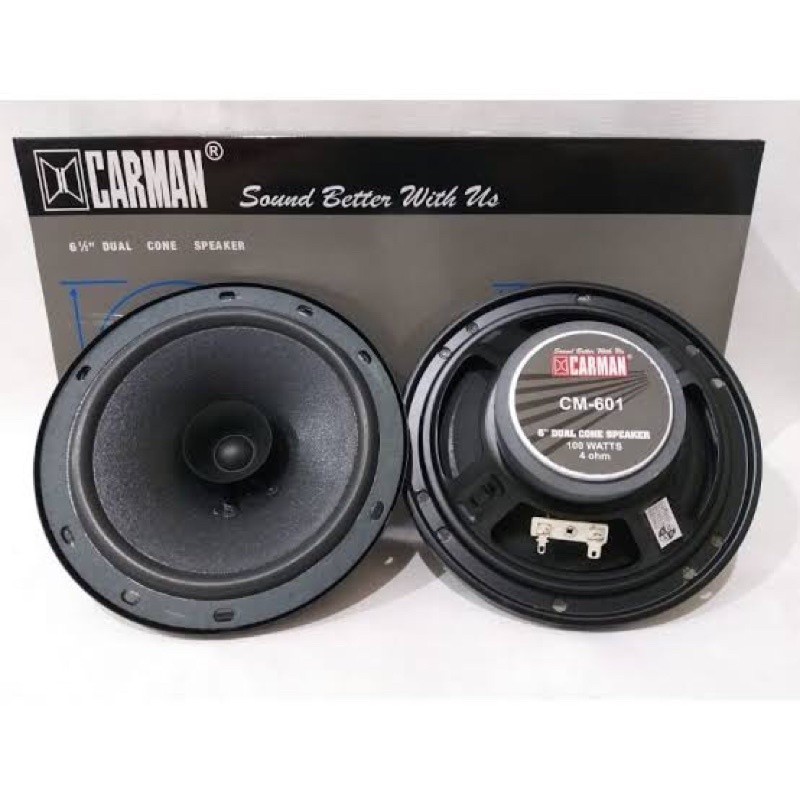 Speaker Speker Pintu Mobil 6.5 inch Carman CM - 601