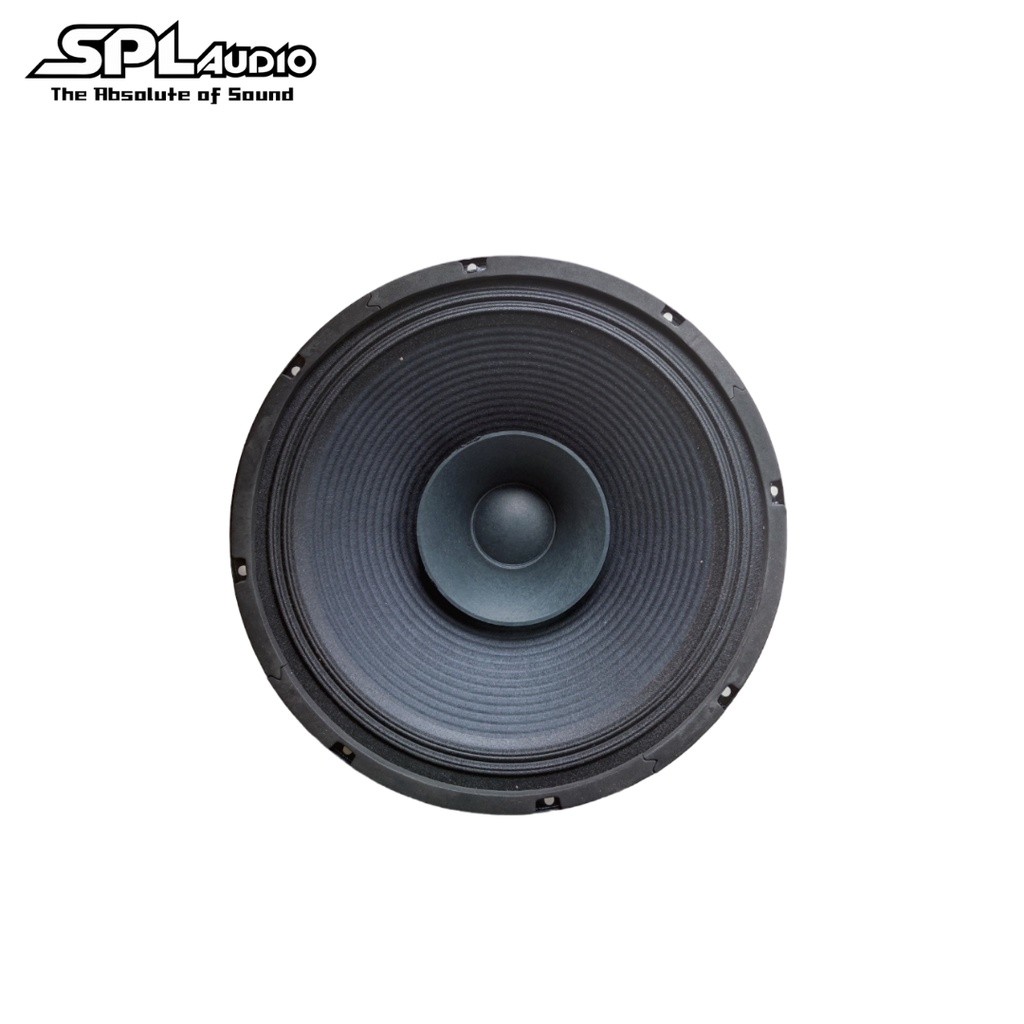 CLA By SPL Audio Speaker 12 Inch 12 FR 300