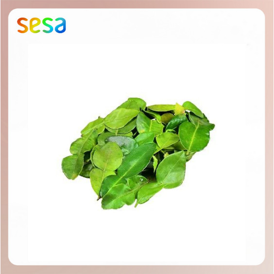 

DAUN JERUK Organik 25gr - Bumbu Dapur