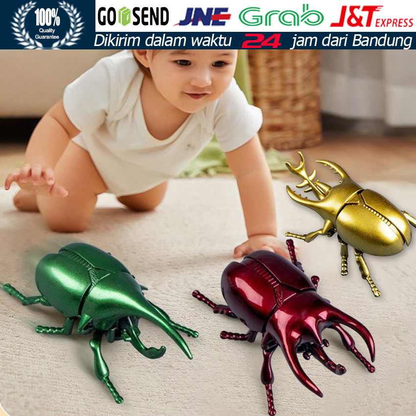 Mainan Serangga Kumbang Badak Tanpa Baterai / Mainan Edukasi Simulasi Binatang Hewan / Mainan Kumban