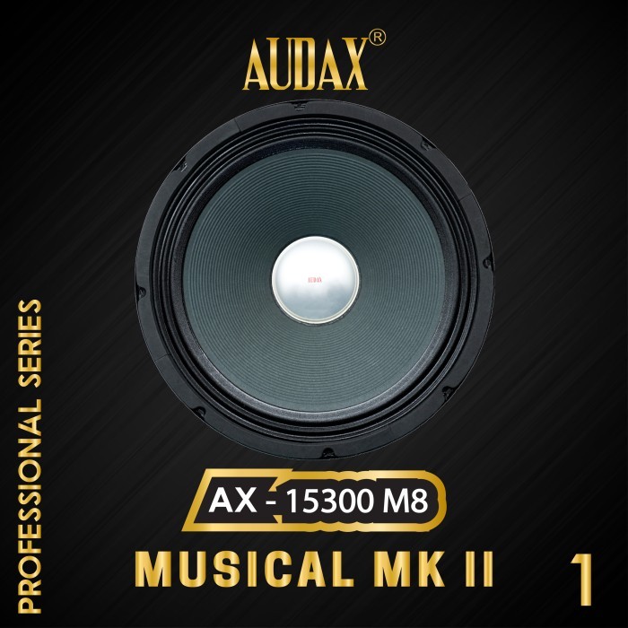 Speaker Pasif 15" Audax AX-15300 M8 Full Range Professional Series