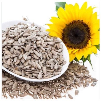 

sunflower seed repack