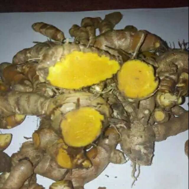 

Koneng/ kuyit / temulawak