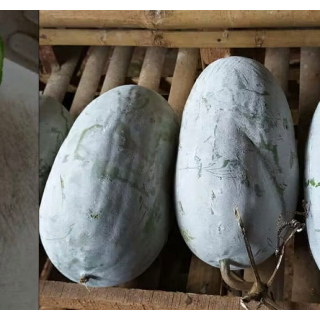 

buah kundur/beligo harga per 1-1,5kg