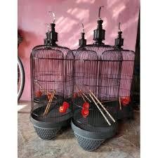 JUAL SANGKAR LOVEBIRD 1 DUS 10 SET LENGKAP TEBOK BINTANG HITAM KANDANG BESI BULAT KAPSUL LOVEBIRD