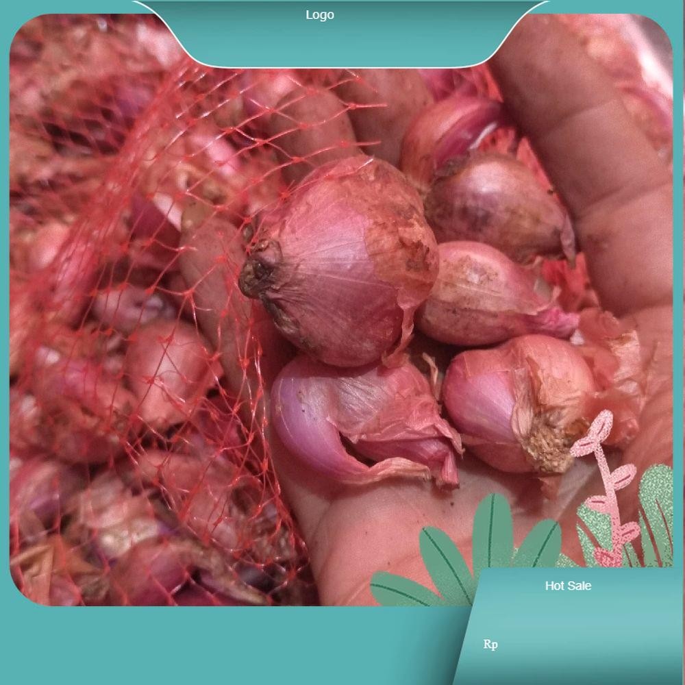 

bawang merah kering gebrus besar kecil berat 1kg