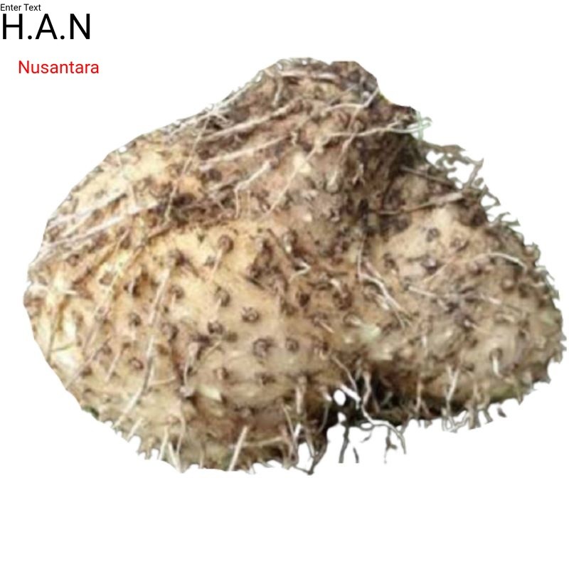 

Umbi gadung segar 1kg utuh