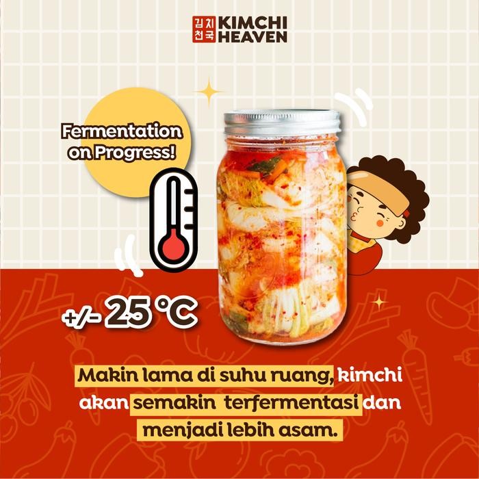 

PROMO Fresh Kimchi Korea + box plastik 1kg (bs pilih varian) Halal - sawi Terlaris