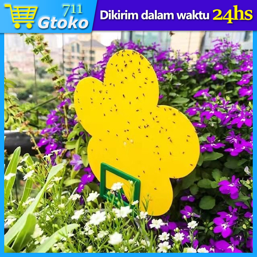 Yellow Trap Likat Kuning Perangkap Hama Lem Perekat Lalat Buah Tanaman